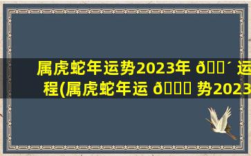 属虎蛇年运势2023年 🌴 运程(属虎蛇年运 🐟 势2023年运程怎么样)